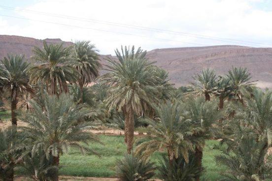 Maggaman Guest House Tafraoute Sidi Ali エクステリア 写真